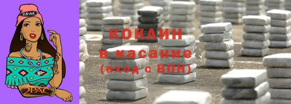 шишки Арсеньев