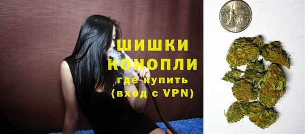 шишки Арсеньев