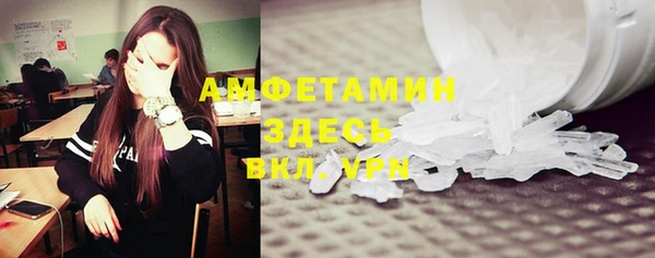 шишки Арсеньев