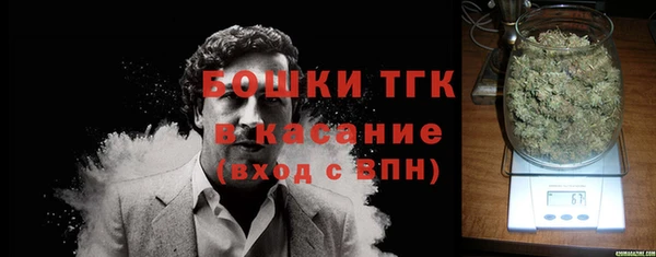 шишки Арсеньев