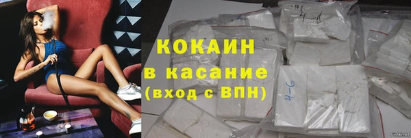 шишки Арсеньев