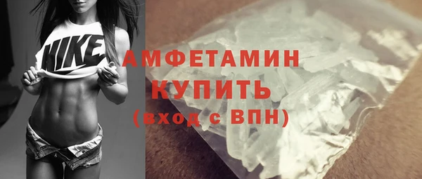 шишки Арсеньев
