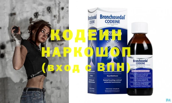 шишки Арсеньев